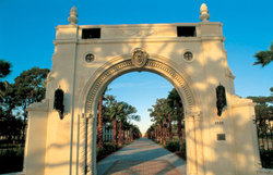 New_college_1