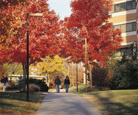 Towsonautumn_3