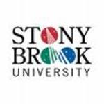 Stony_brook_2